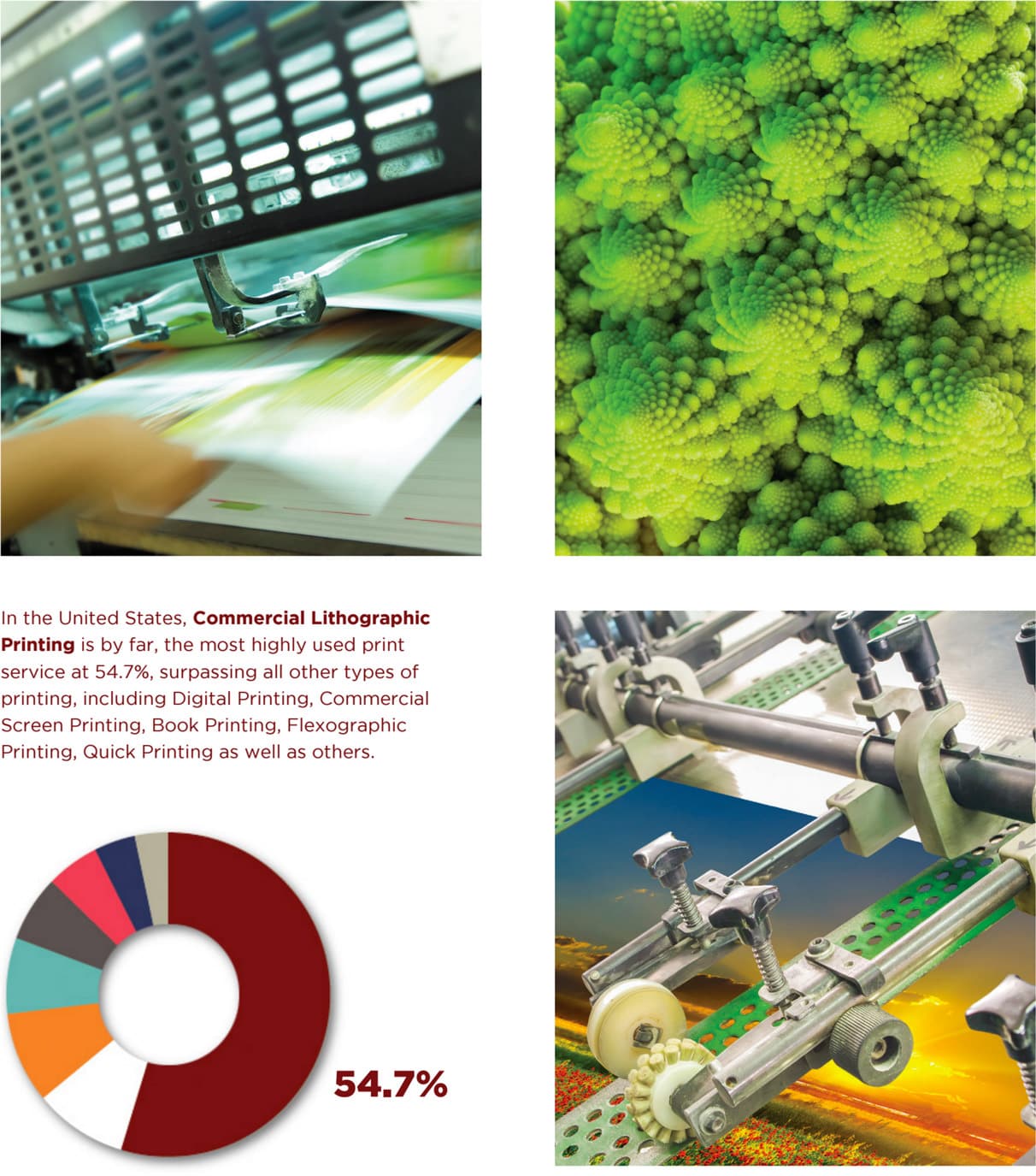 Commercial lithographic printing stats